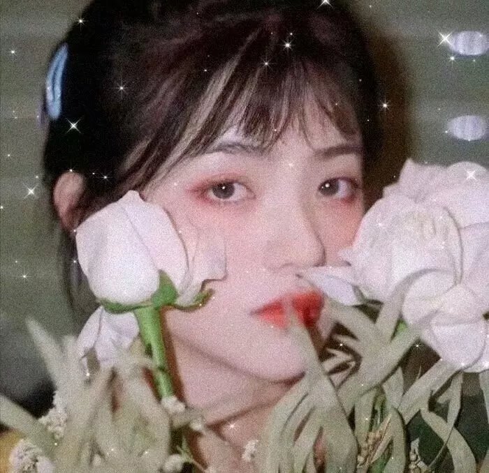 风流皇后